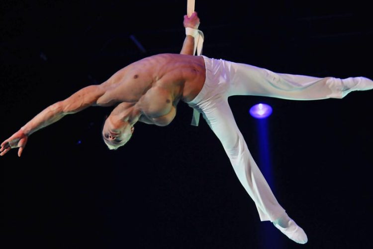 Artiste Walid Hamouche Sangles Aerienne ayart